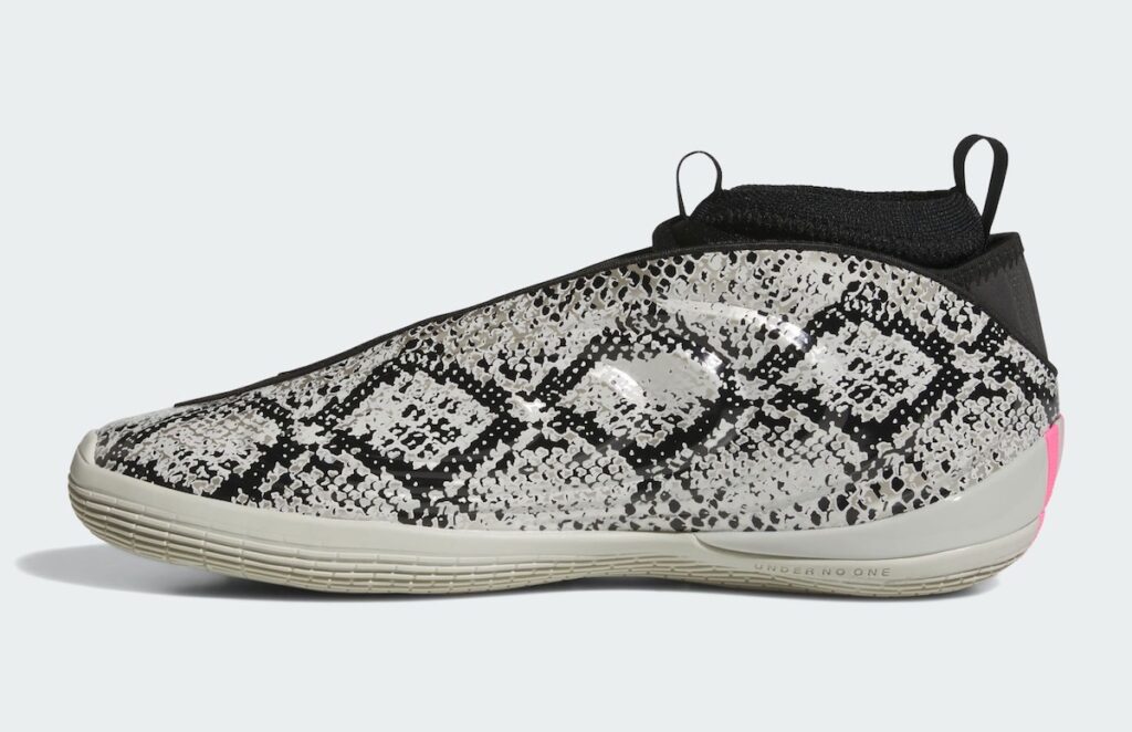 adidas Harden 10