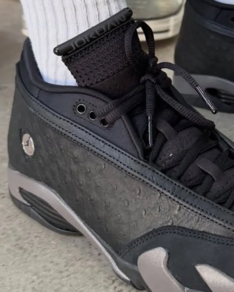 Air Jordan 14 Low