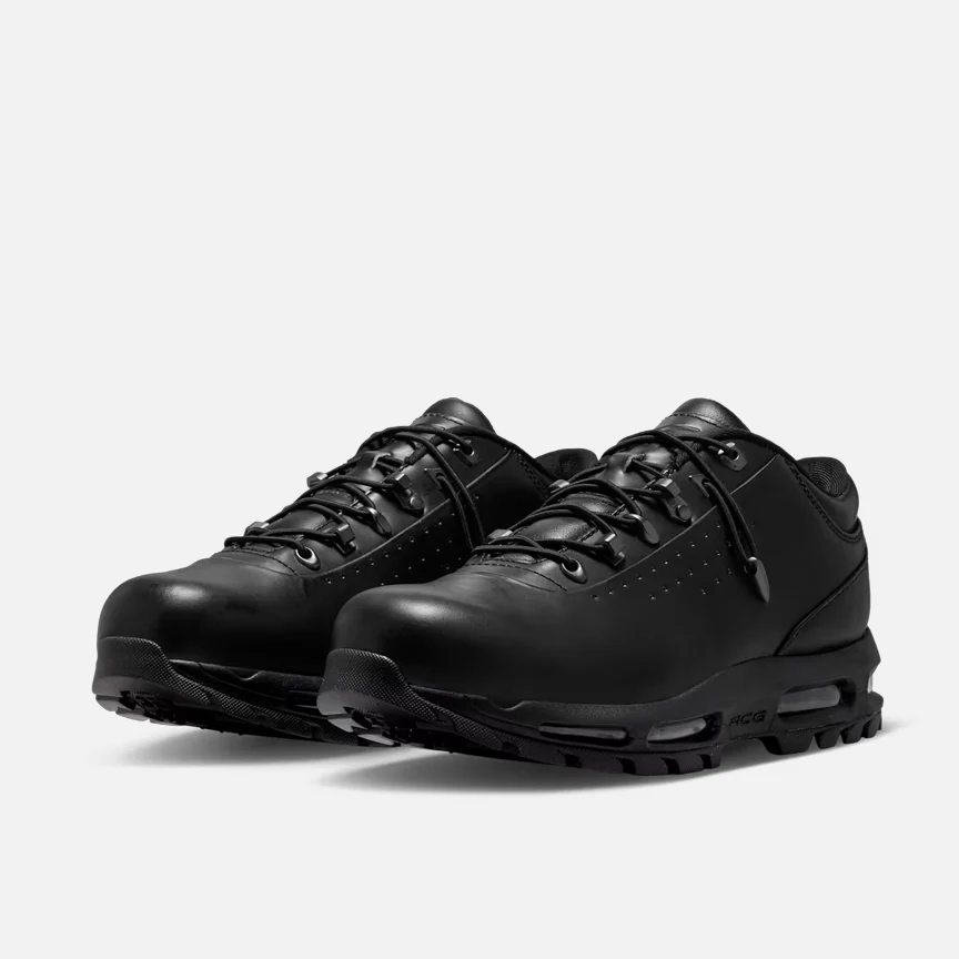Nike Air Max Goadome Low, style IR2173-001