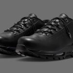 Nike Air Max Goadome Low SP Black Drops June 18