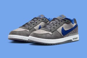 Nike SB P-Rod Zoom Air Low