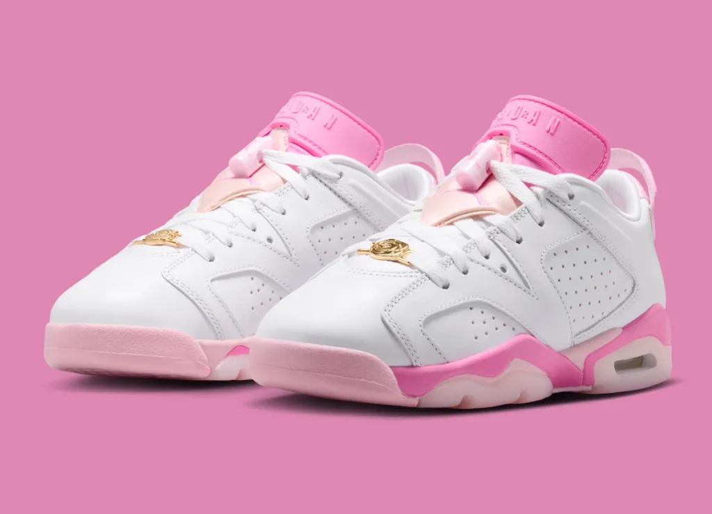 Air Jordan 6 Low