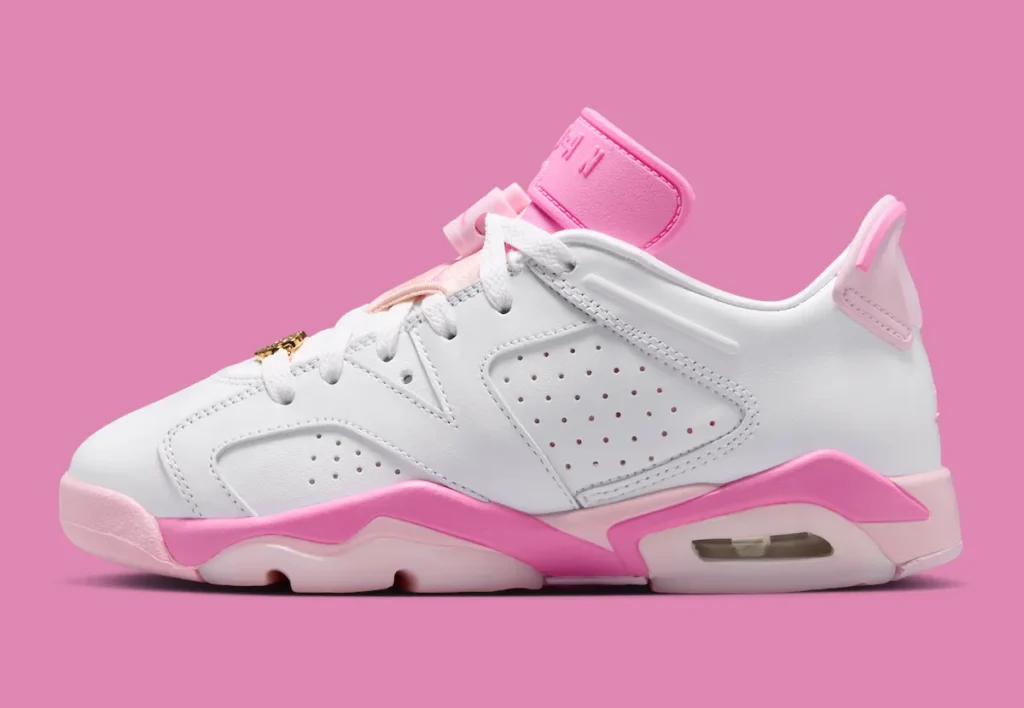 Air Jordan 6 Low