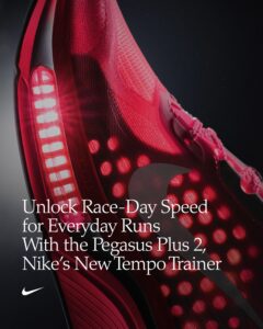 Nike Pegasus Plus 2 in Flash Crimson, Black, Light Smoke Grey and Metallic Silver