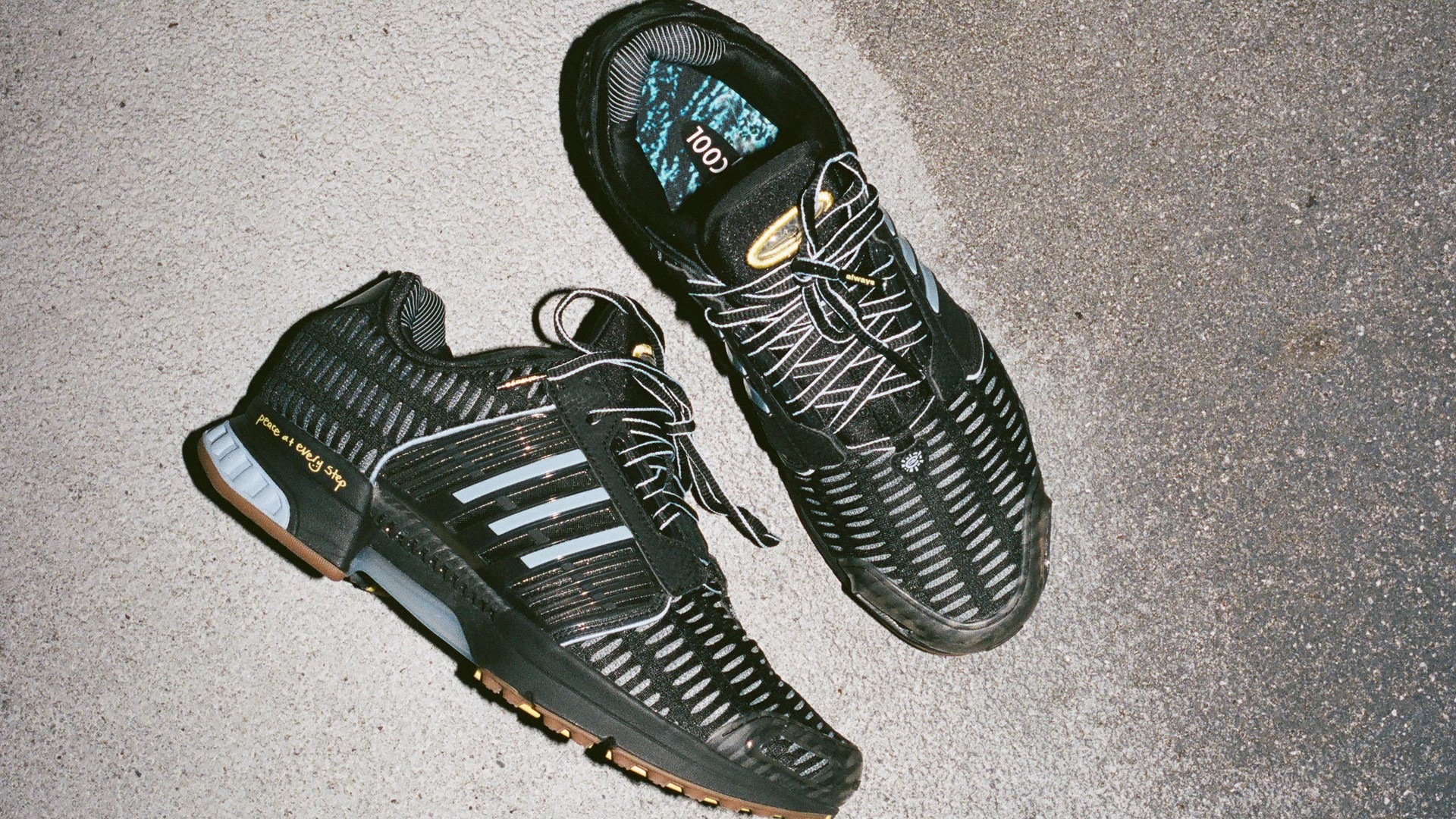adidas Climacool 1