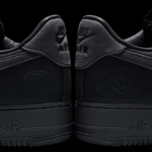 The Air Force 1 "University of Oregon" Carries the Ducks’ Marks and None of Their Colors