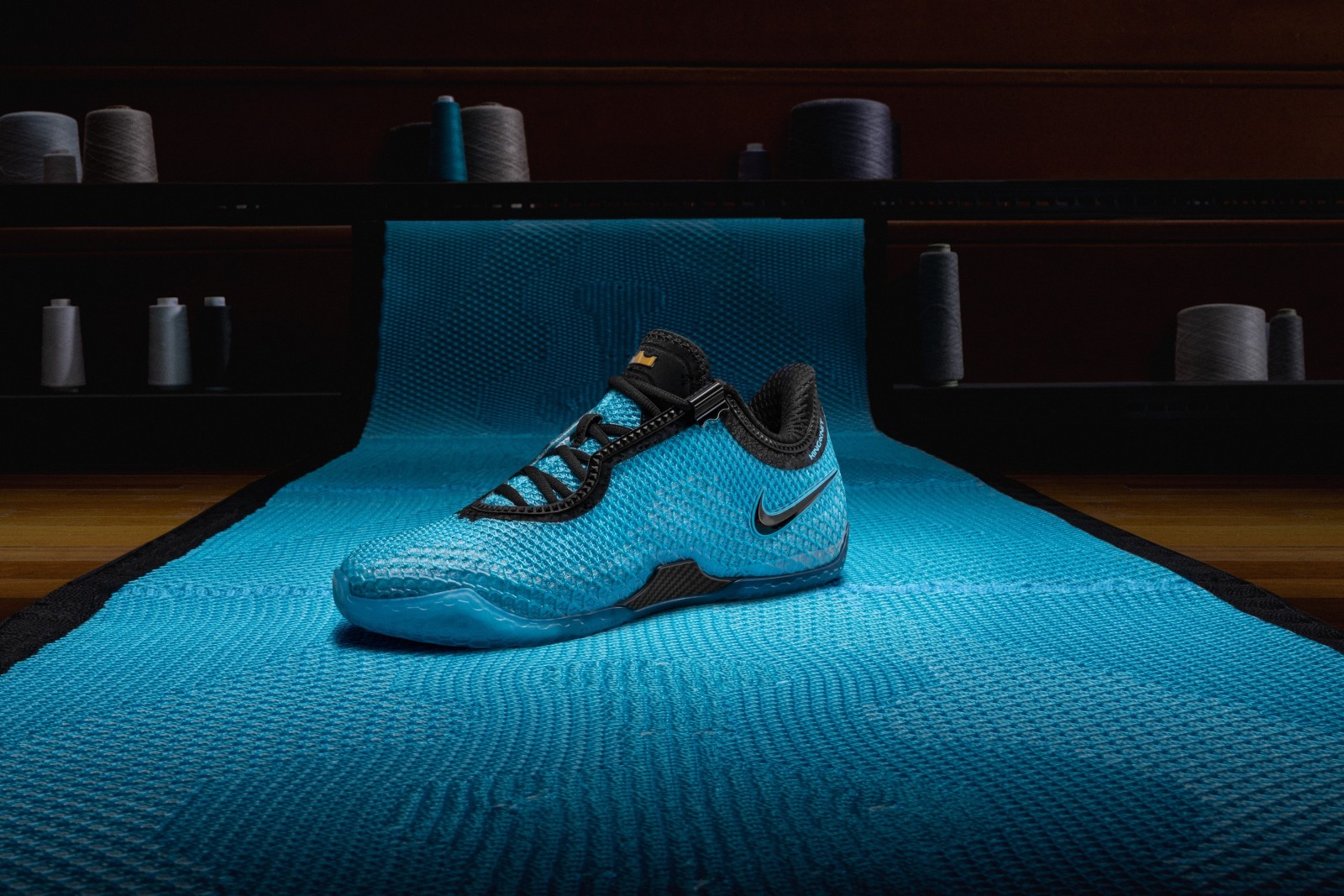 Nike LeBron 24