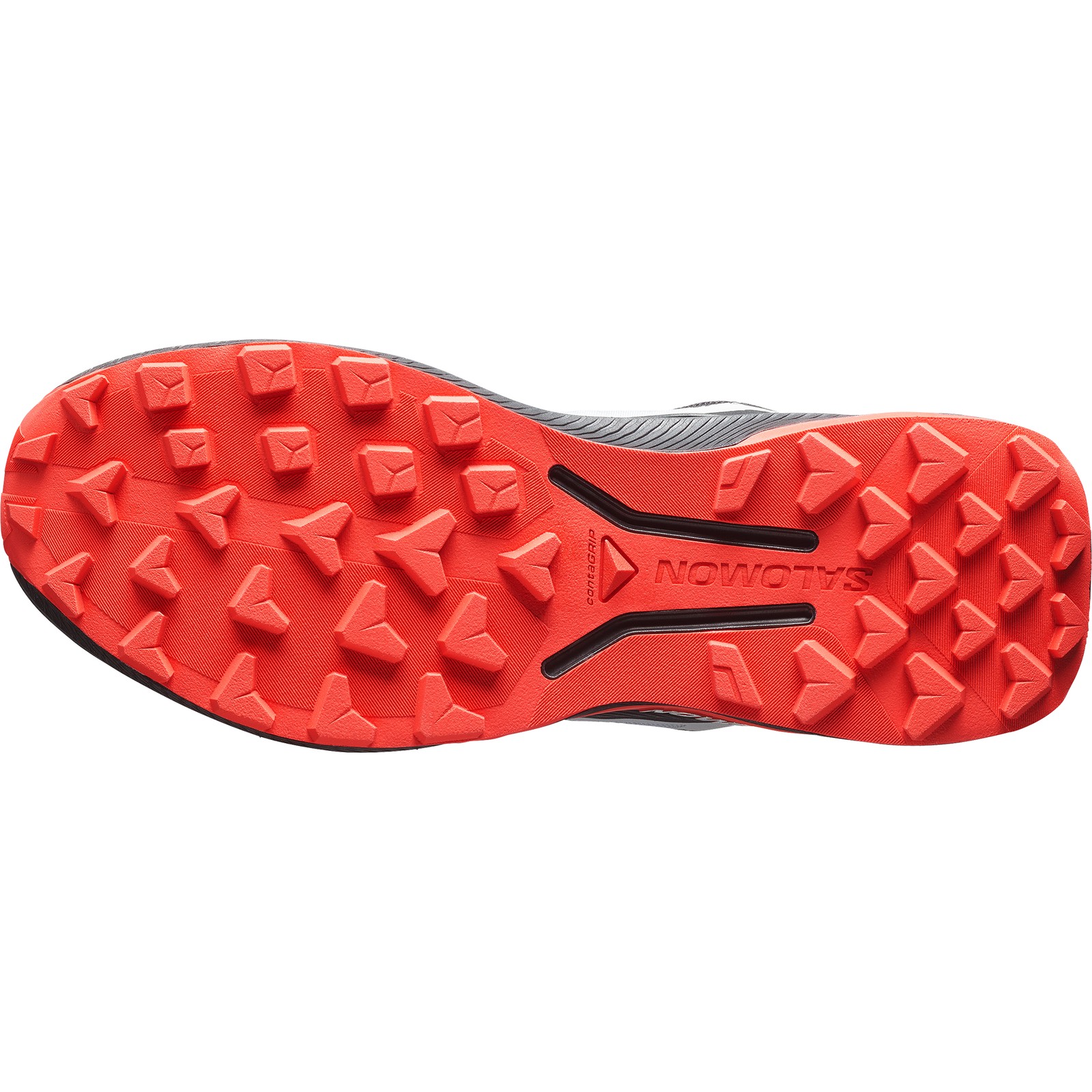 Salomon Genesis 2
